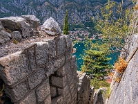 Kotor
